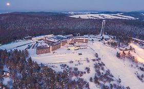 Hotel Arlamow  Poland